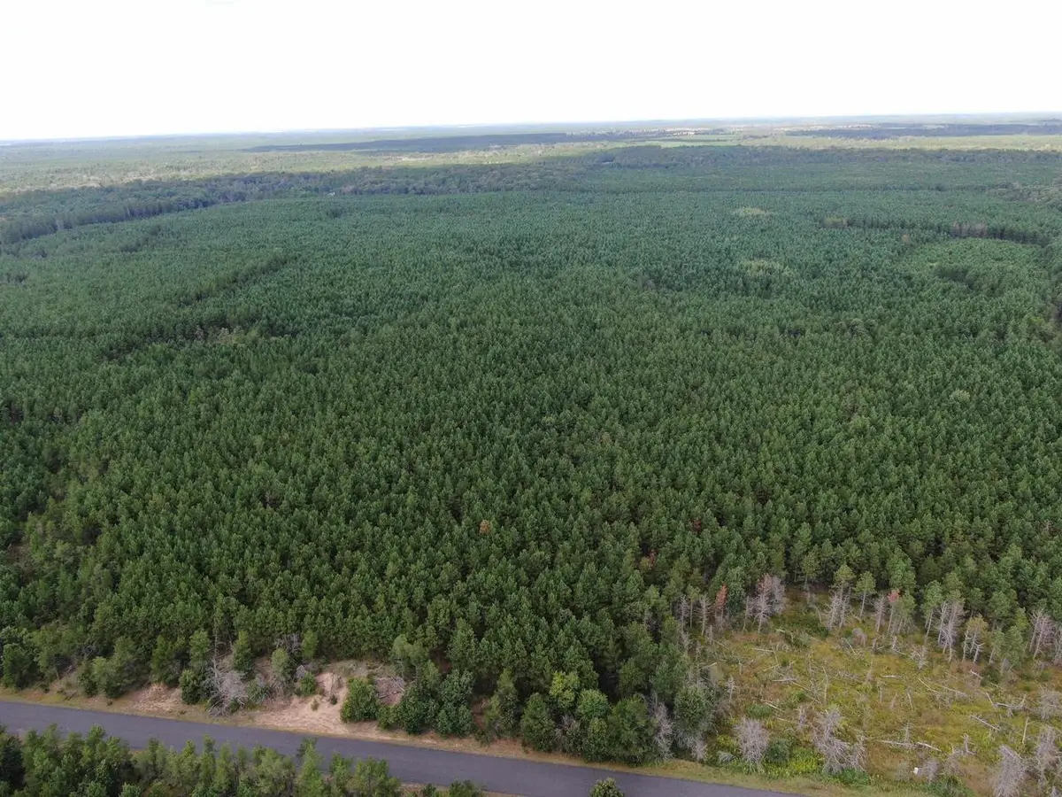 40 AC Buttercup Ave N Acres, Arkdale, WI 54613 - #1