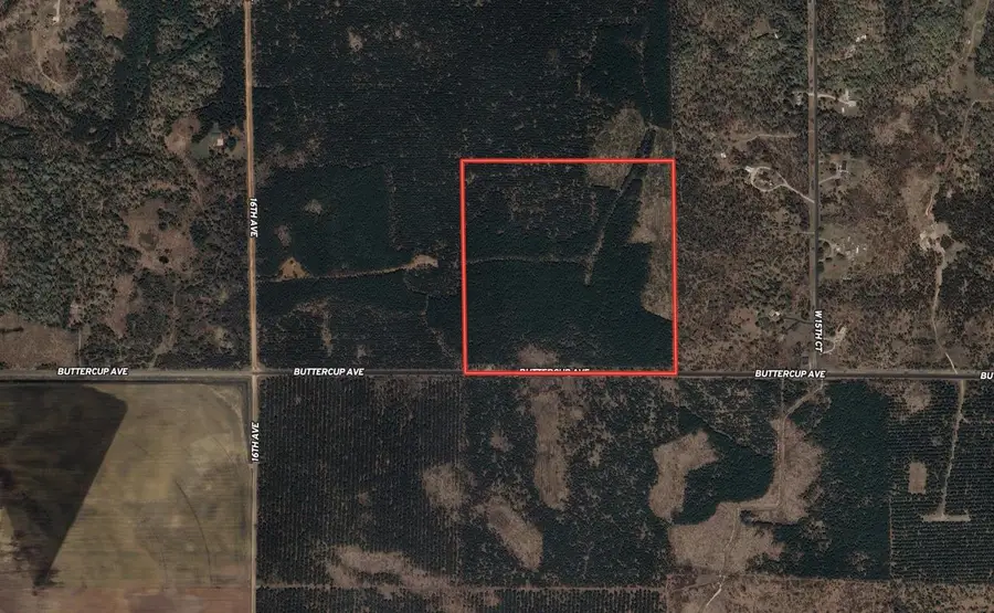40 AC Buttercup Ave N Acres, Arkdale, WI 54613 - #2