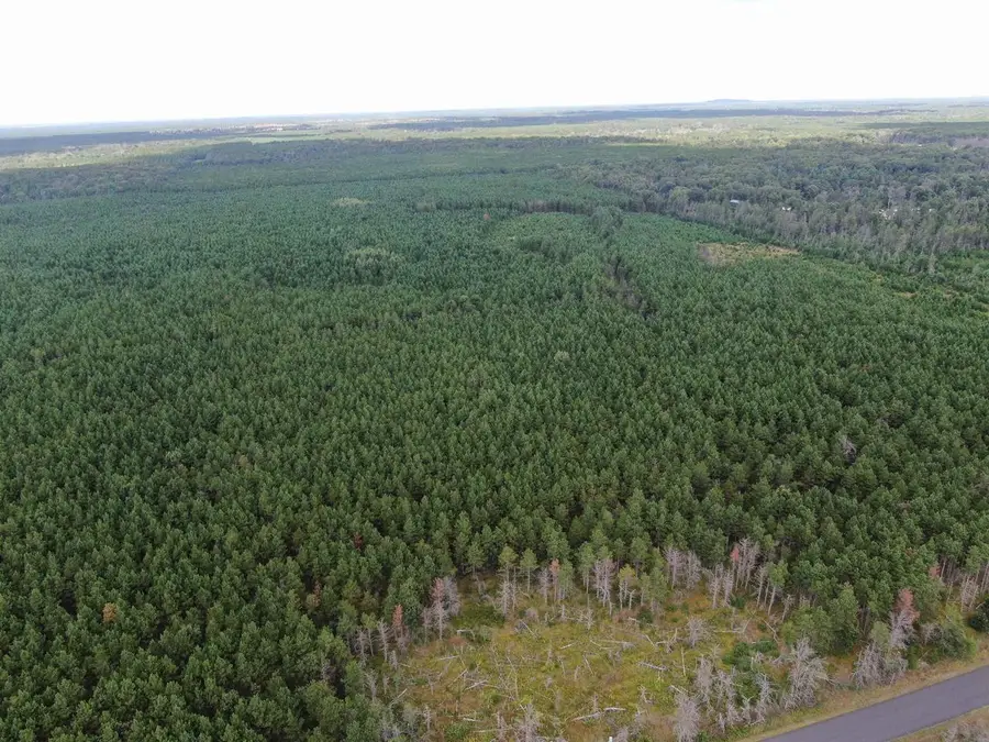 40 AC Buttercup Ave N Acres, Arkdale, WI 54613 - #3