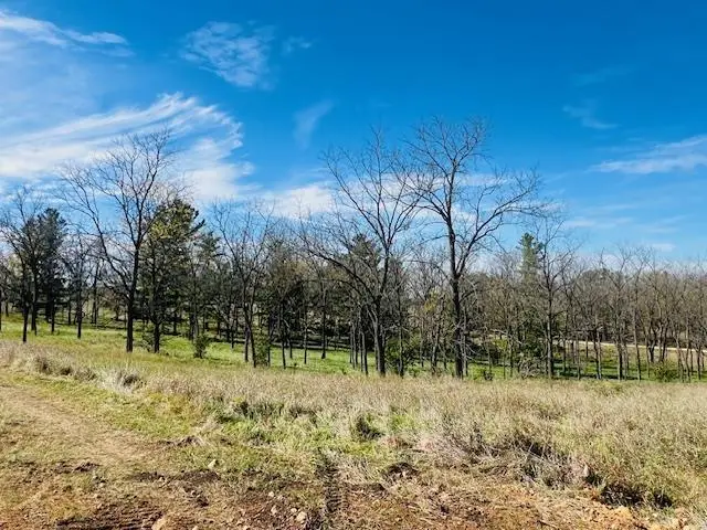 Lot 9 Highway 39, York, WI 53574 - Image #3