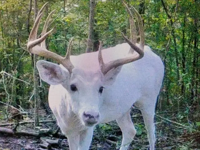 S7711 Freedom Road, North Freedom, WI 53951 - Image #3