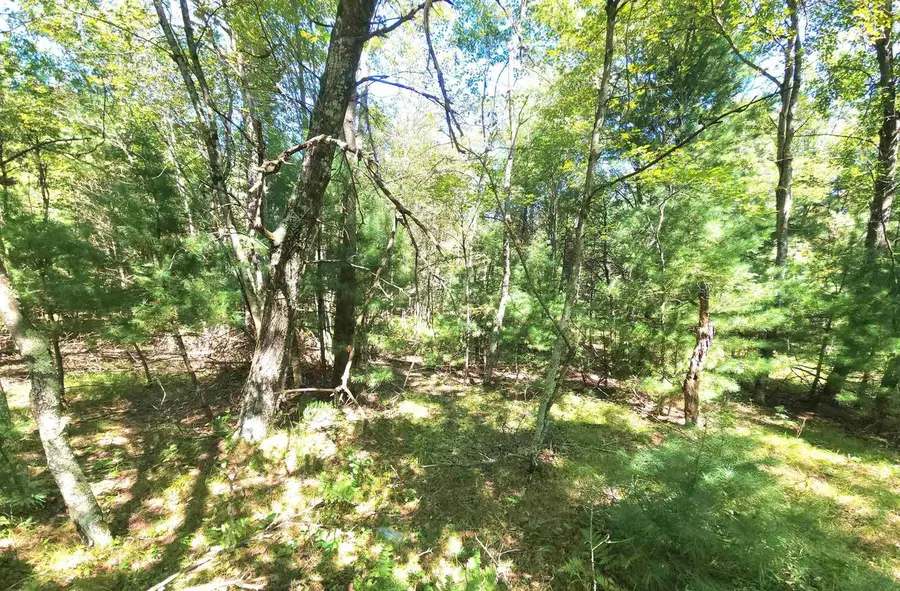 W Pine Creek Road, Hixton, WI 54635 - Image #2