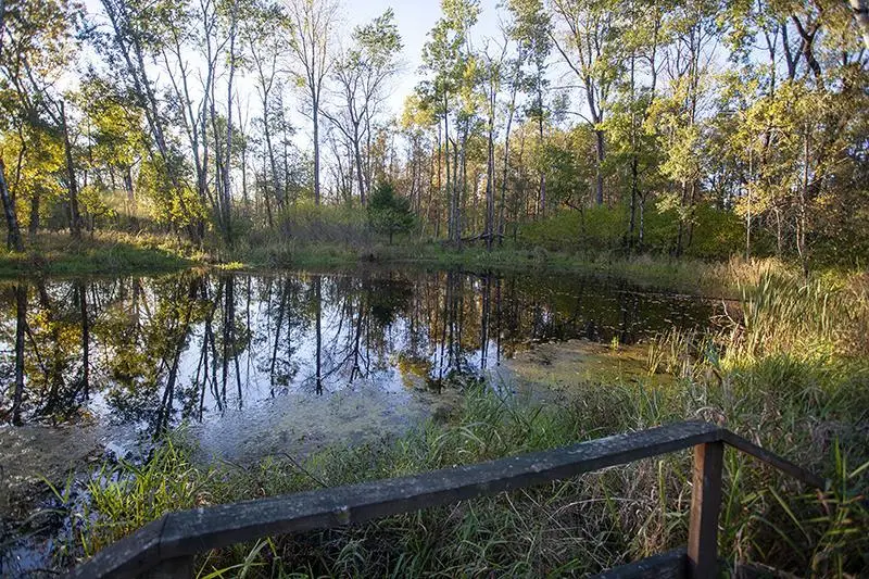 2274 15th Lane, Friendship, WI 53934 - Image #2