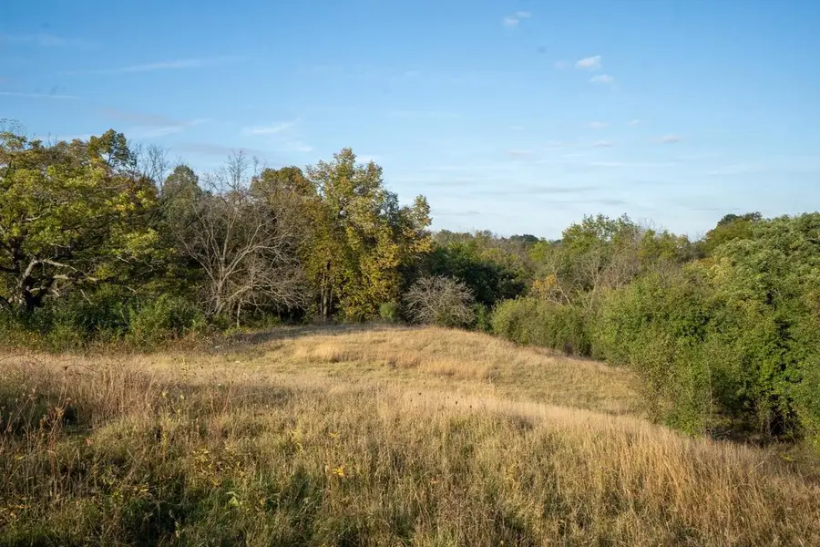 +/- 54ac North Road, Blue Mounds Town, WI 53517 - Image #3