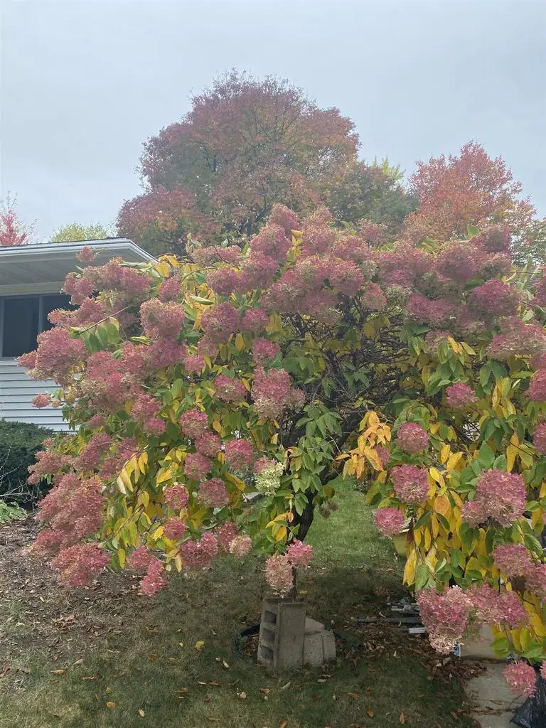 1529 Wyoming Way, Madison, WI 53704 - Image #3