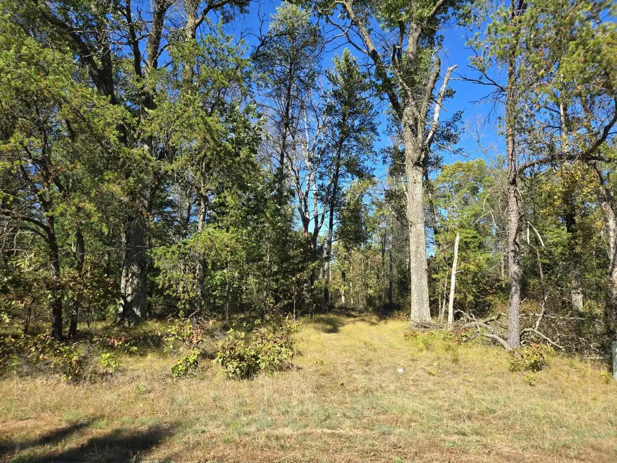 3.35 Acres Brown Deer Avenue, Arkdale, WI 54613 - Image #1