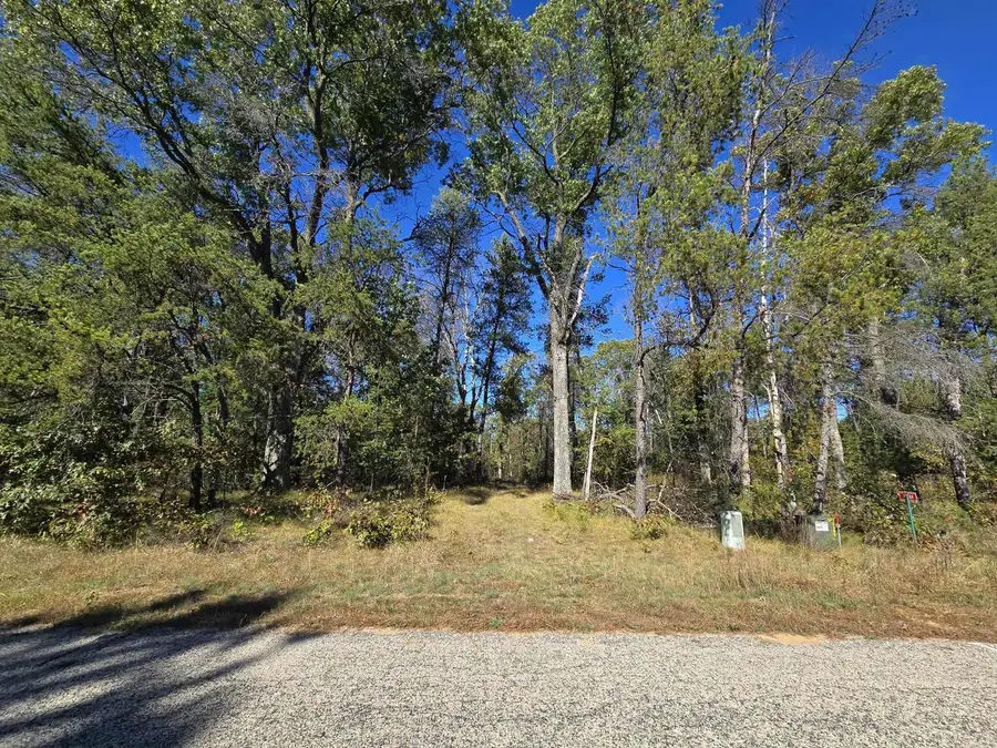 3.35 Acres Brown Deer Avenue, Arkdale, WI 54613 - Image #2