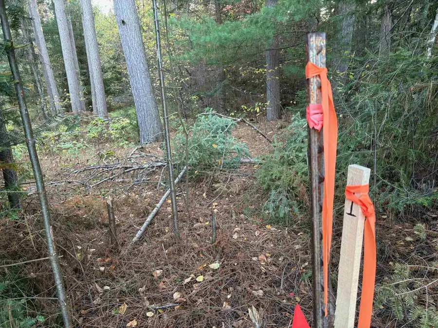 Lot 1 Plantation Road, Pelican Lake, WI 54463 - #3