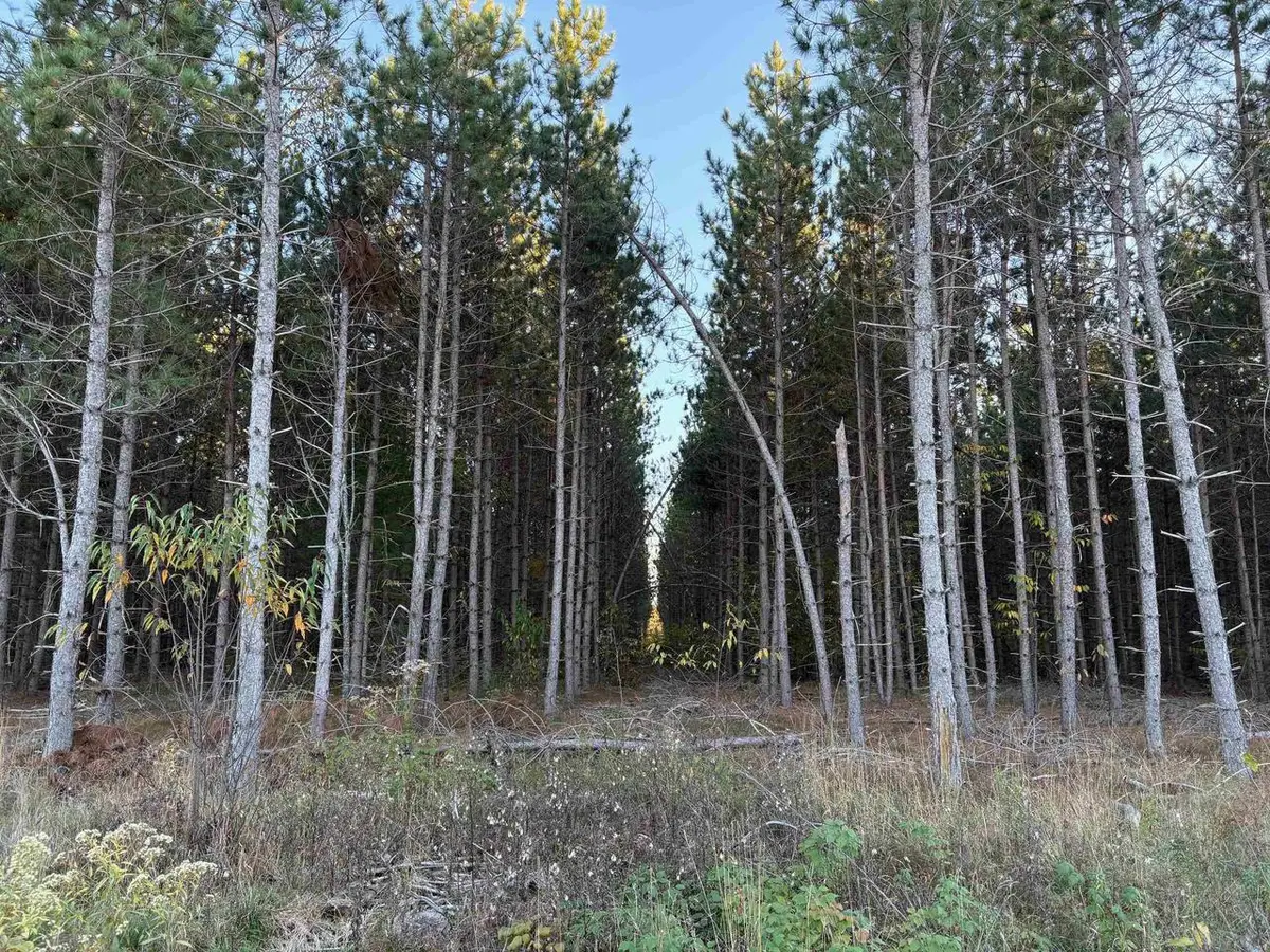 Lot 3 Plantation Road, Pelican Lake, WI 54463 - #1