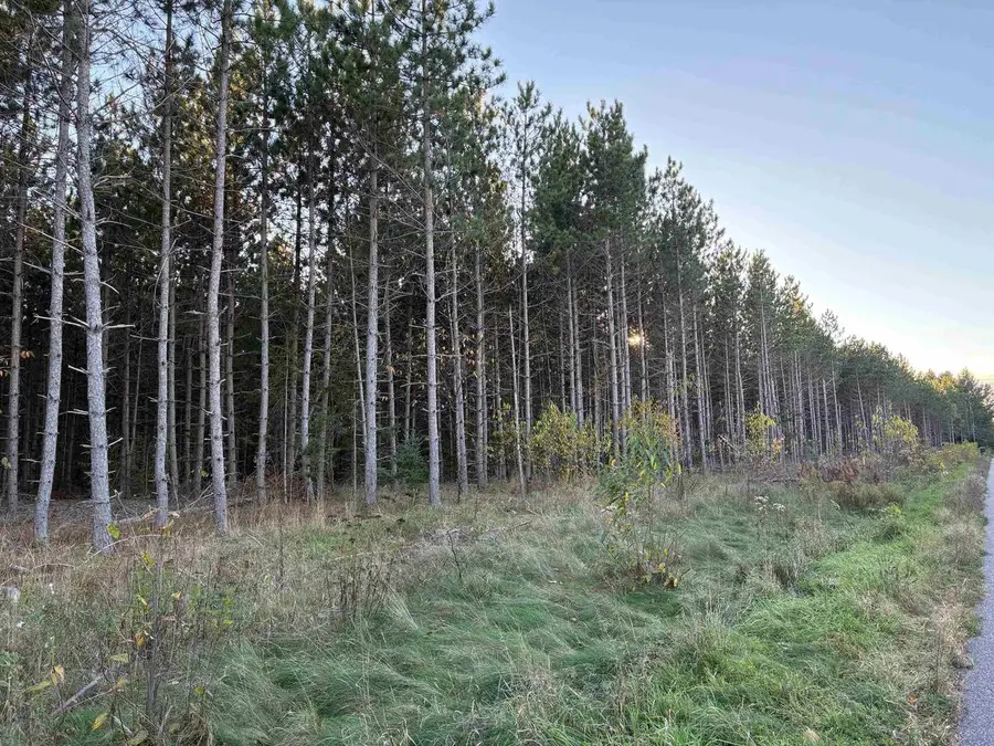 Lot 3 Plantation Road, Pelican Lake, WI 54463 - #2