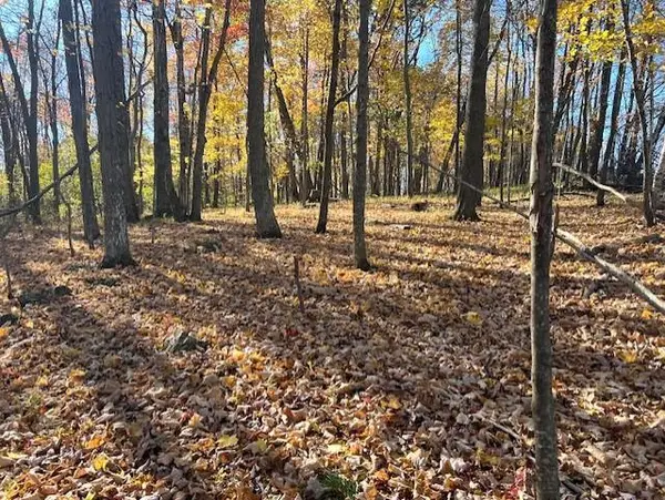 32.18 acres Monarch Avenue, Kendall, WI 54638