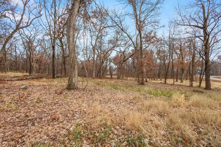 L46 & 47 Savanna Woodland, Green Lake, WI 54941 - Image #3