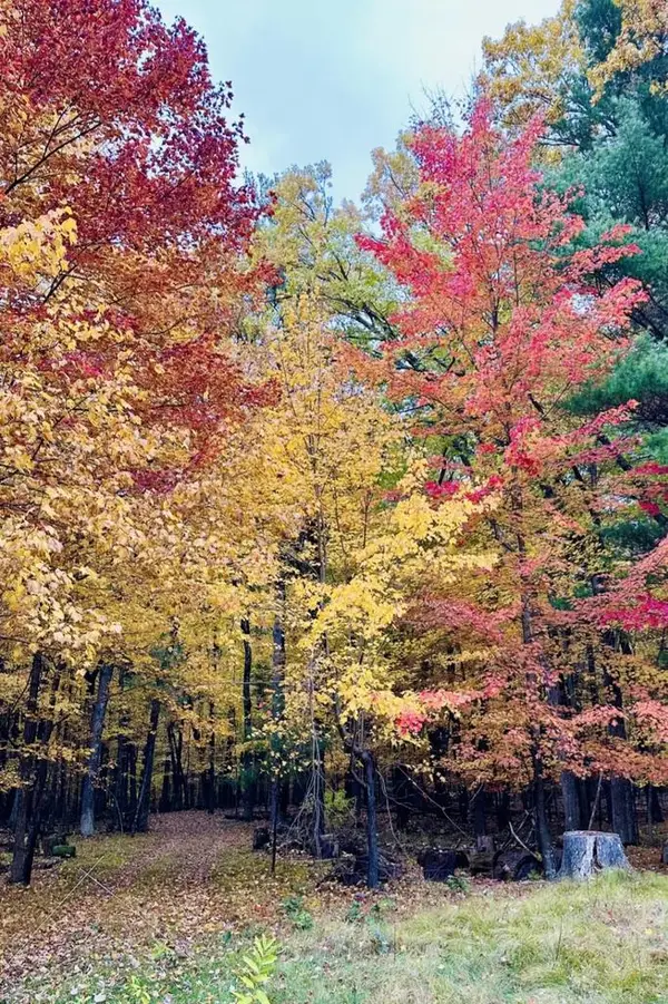 Lot 33 S Badger Lane, Arkdale, WI 54613