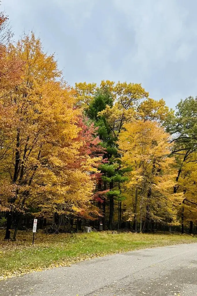 Lot 33 S Badger Lane, Arkdale, WI 54613 - Image #2