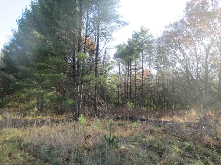 Lot 2 Eagle Rest Court, Montello, WI 53949 - Image #3