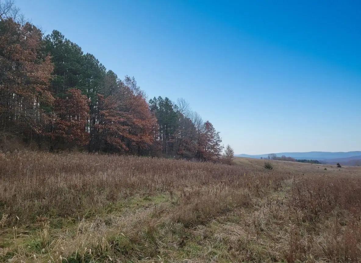 70 acres Hwy 78, Merrimac, WI 53561 - Image #1