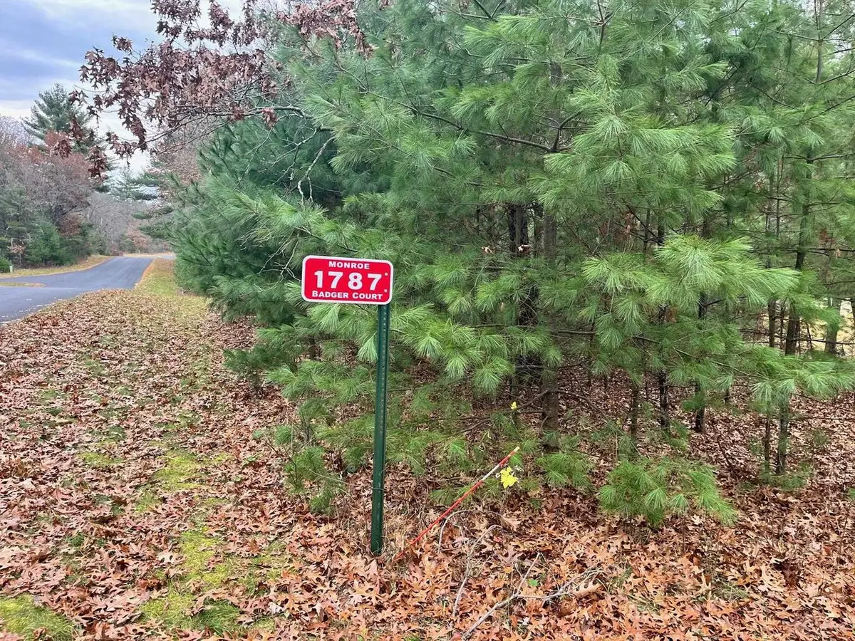 1787 Badger Court, Arkdale, WI 54613 - Image #1