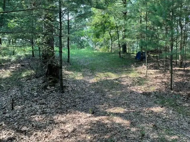 579 17th Avenue, Nekoosa, WI 54457 - Image #3