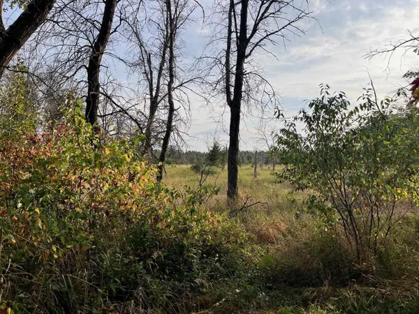 1193 Beaver Avenue, Nekoosa, WI 54457