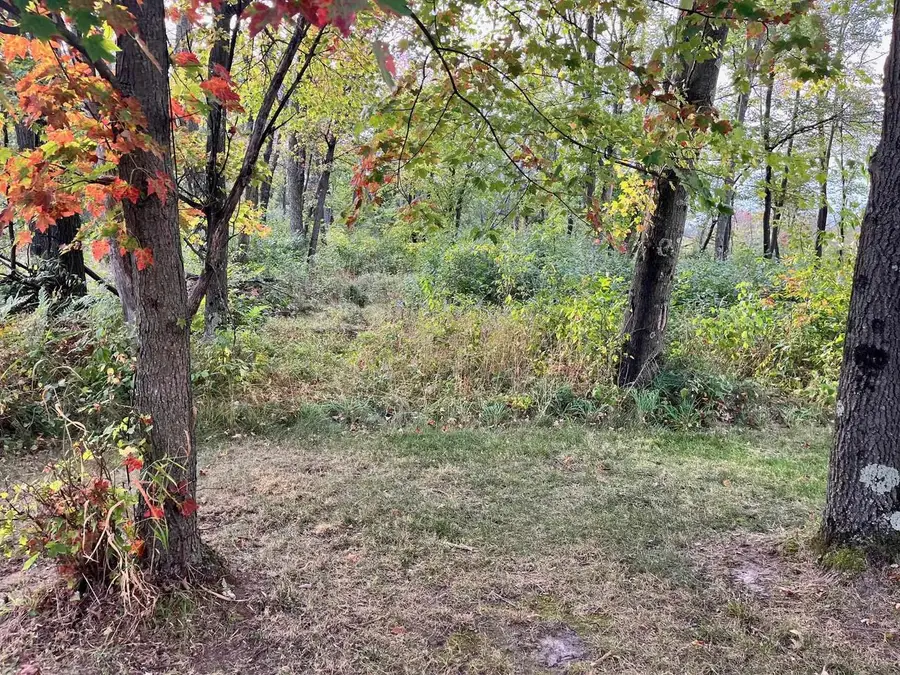 1193 Beaver Avenue, Nekoosa, WI 54457 - Image #2