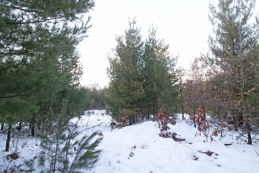 Lot20 Timber Trail, Spring Green, WI 53588 - #3