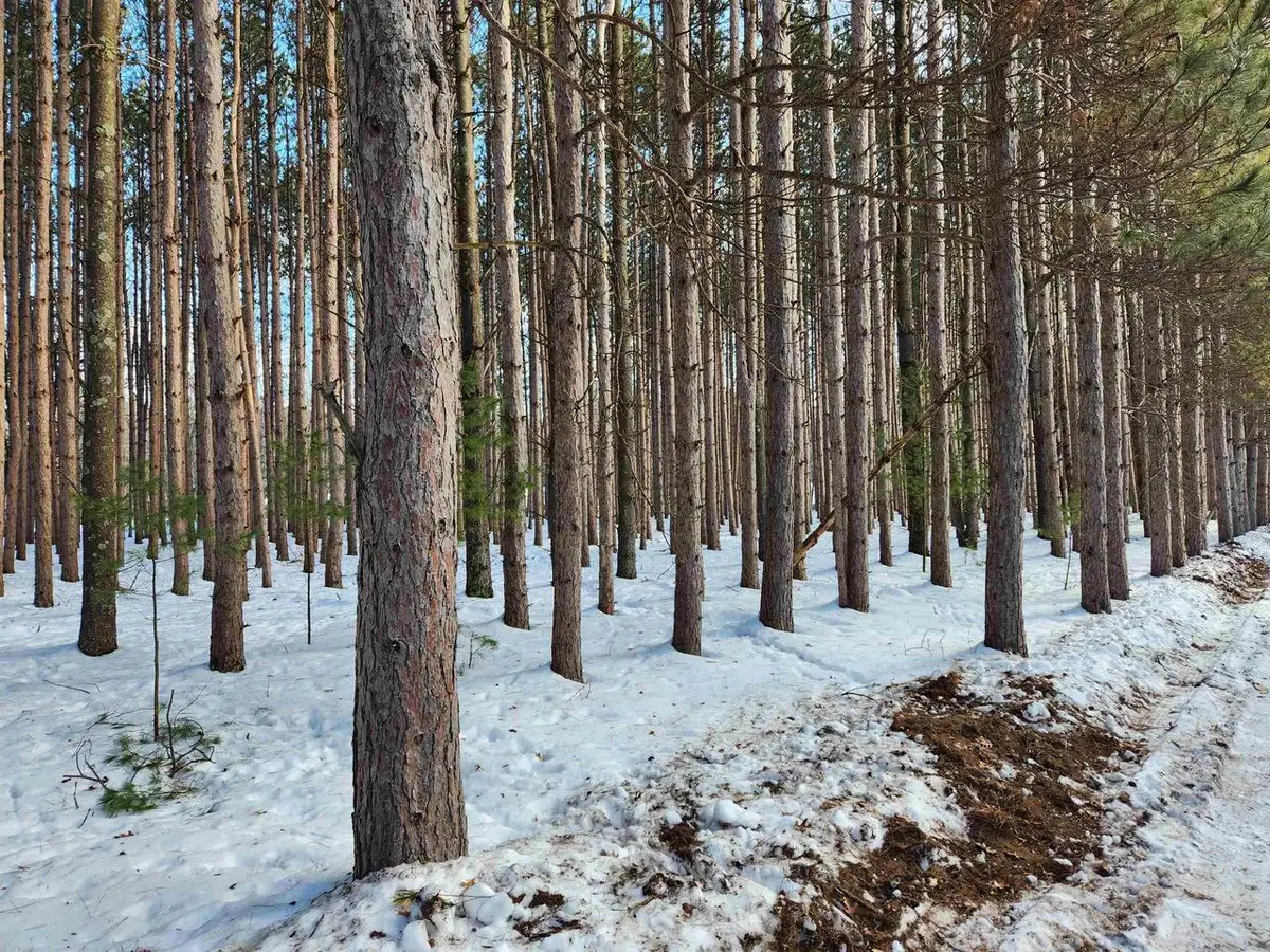 Lot 3 Meiller Road, Montello, WI 53949 - Image #1