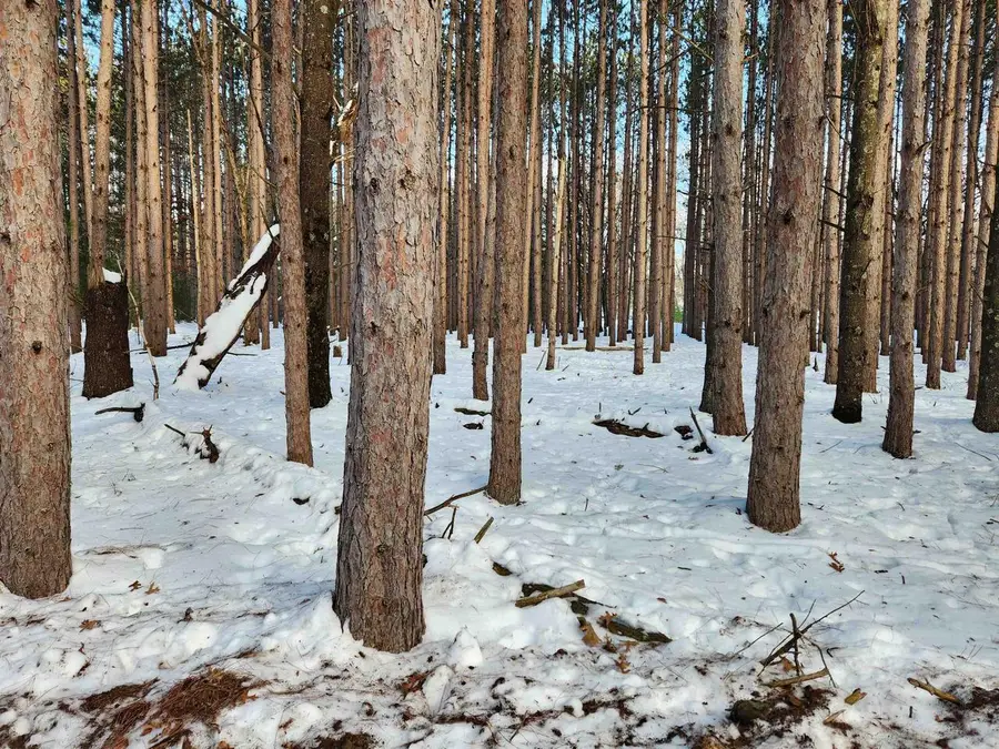 Lot 3 Meiller Road, Montello, WI 53949 - Image #2