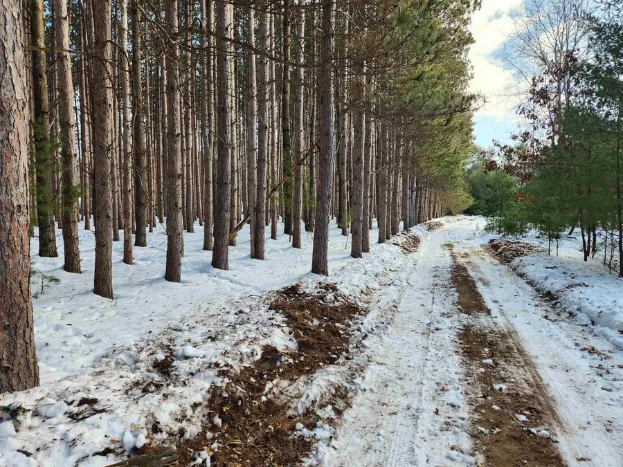 Lot 3 Meiller Road, Montello, WI 53949 - Image #3