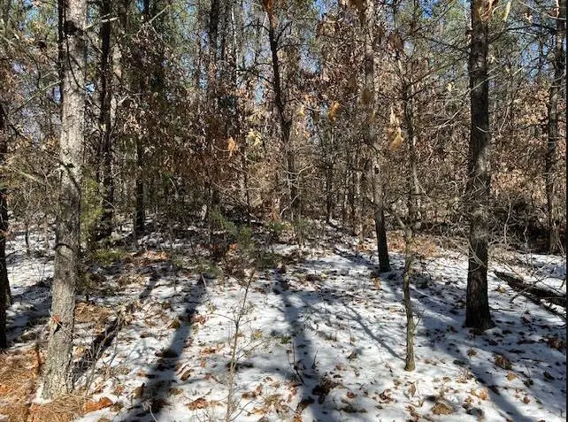 W5794 Waterstone Lane, New Lisbon, WI 53950 - #3