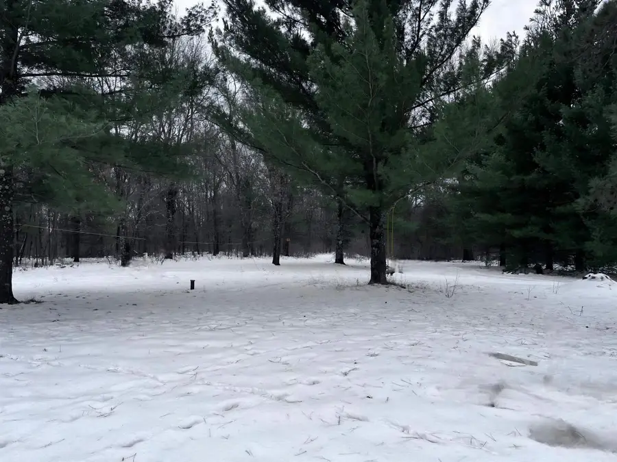 915 Fur Avenue, Wisconsin Dells, WI 53965 - Image #3