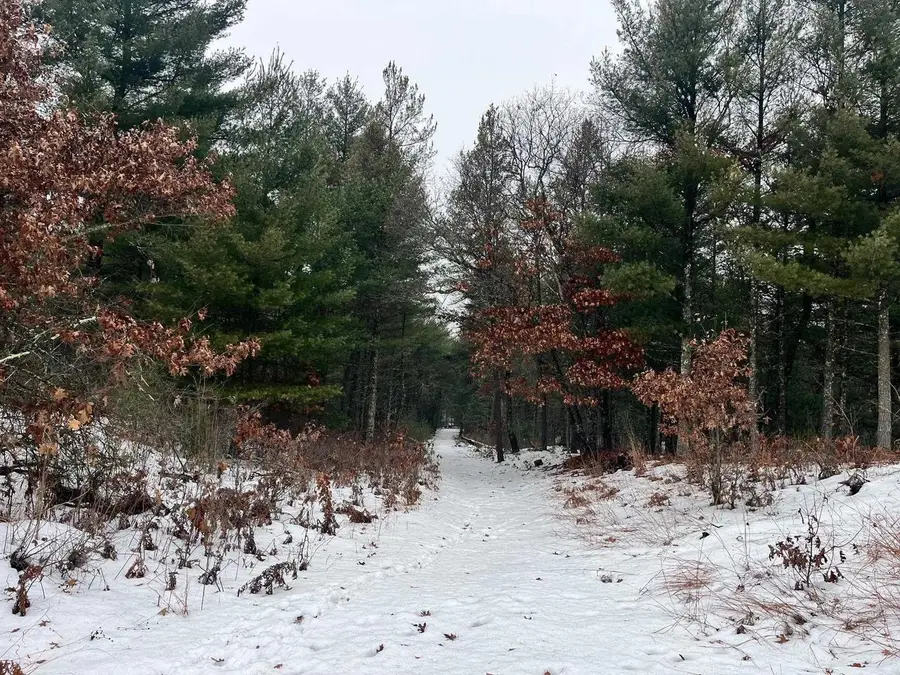 1017 9th Avenue, Hancock, WI 54943 - Image #2