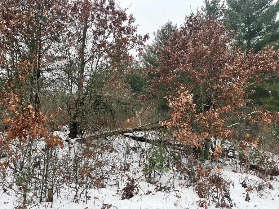 1017 9th Avenue, Hancock, WI 54943 - Image #3