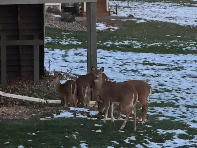 2112 Kilkenny Trail, Waunakee, WI 53597 - #3