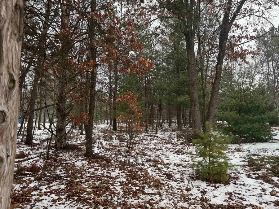 312 LAKE SHORE Drive, Lake Delton, WI 53965 - Image #3