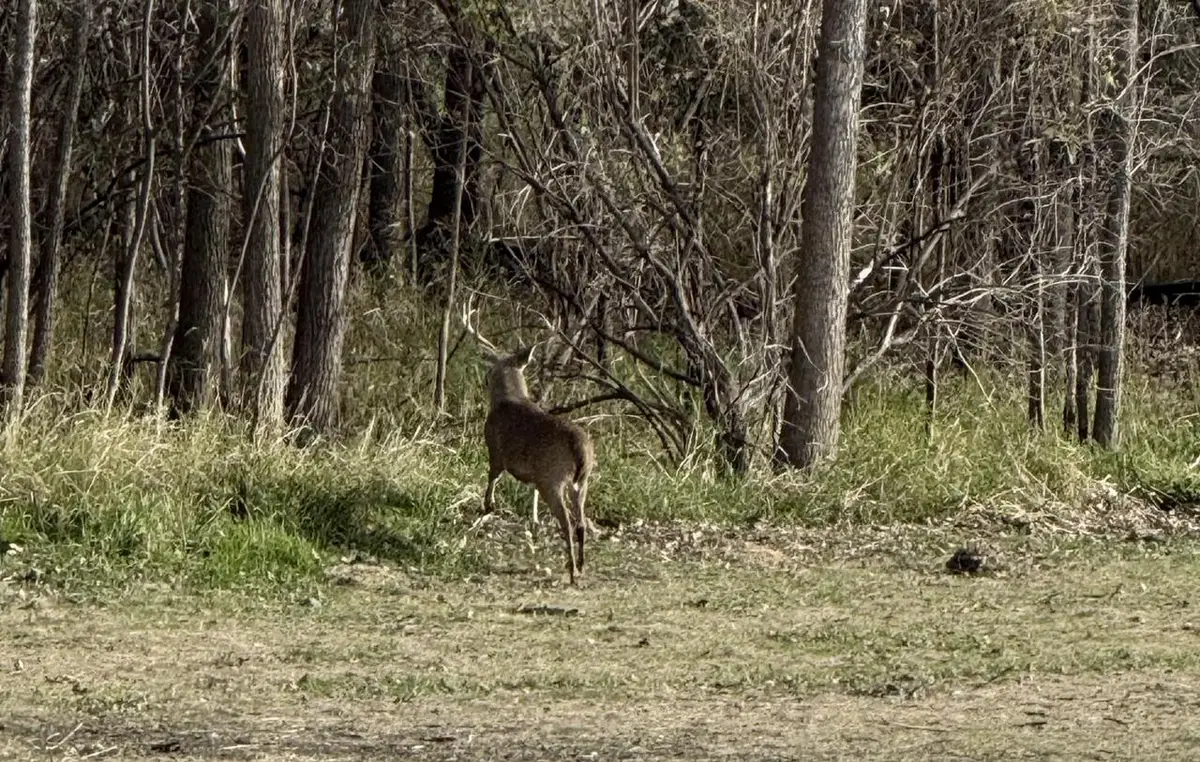 40 AC County Road U, Portage, WI 53901 - #1