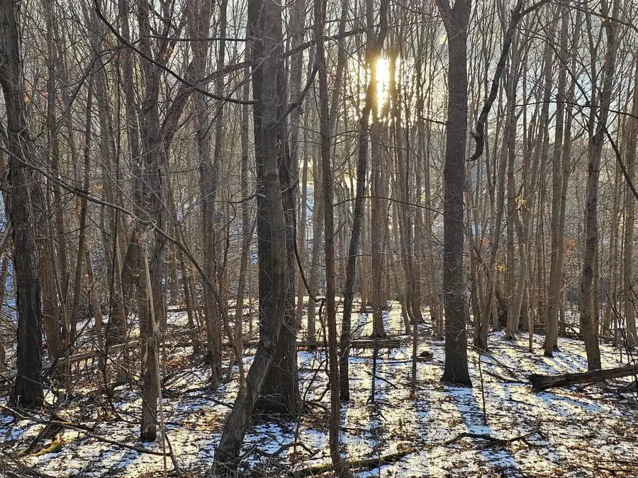 1.73 Ac Stevens Road, De Soto, WI 54624 - Image #3