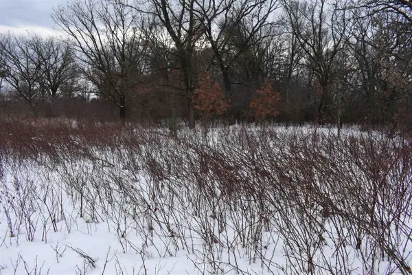 9464 Hollywood Road, Nekoosa, WI 54457