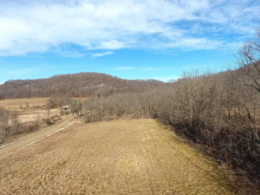68.73 +/- acres S Sleepy Hollow Road, Gays Mills, WI 54631 - Image #3