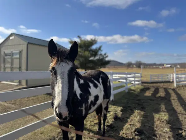 28632 County Hwy BA, Richland Center, WI 53581