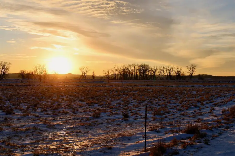 TBD 5th Avenue, Camp Douglas, WI 54618 - Image #2