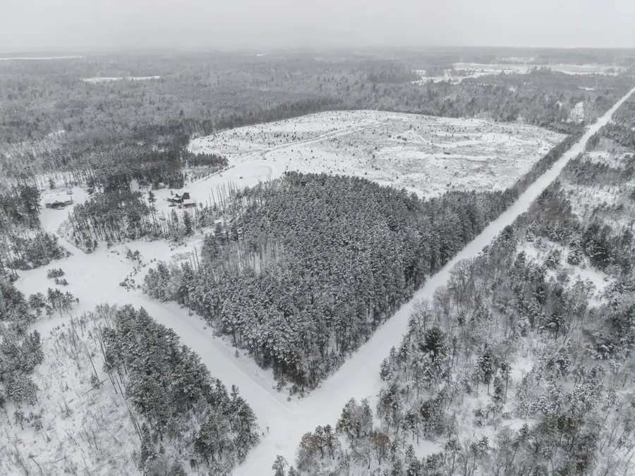 2.69 Acres W 16th Court, Arkdale, WI 54613 - Image #2