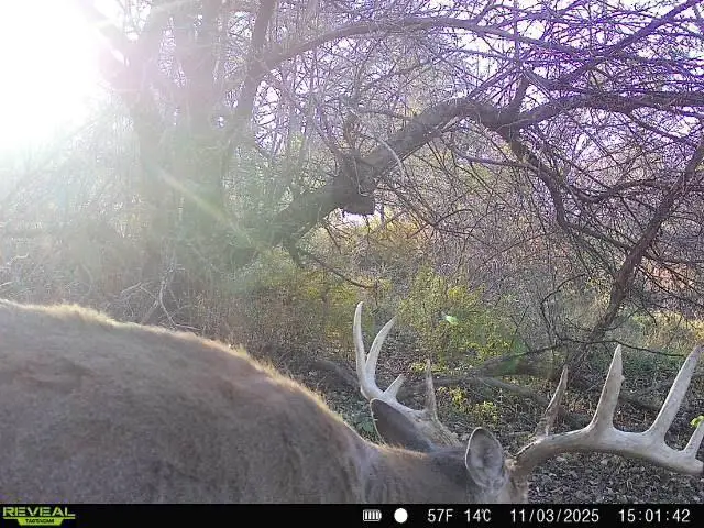 0 Berry Hill Road, Richland Center, WI 53581 - #2