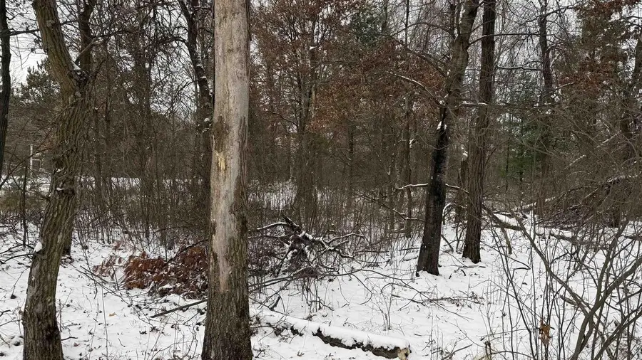 1.50 Acres Retirement Lane, Necedah, WI 54646 - #2