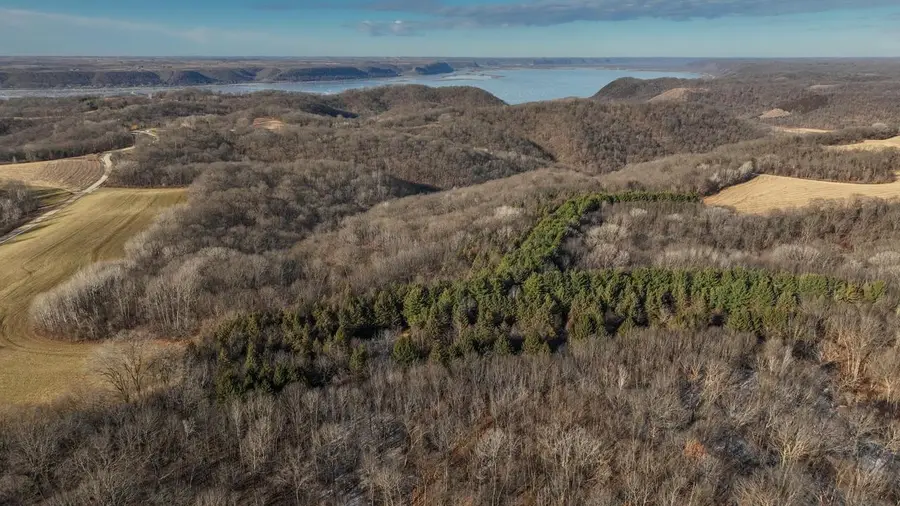 58694 Oak Grove Ridge Road, Eastman, WI 54626 - Image #2