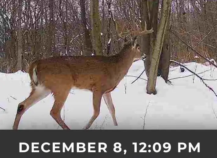 17.75 Acres County Road G, Oxford, WI 53952 - #3