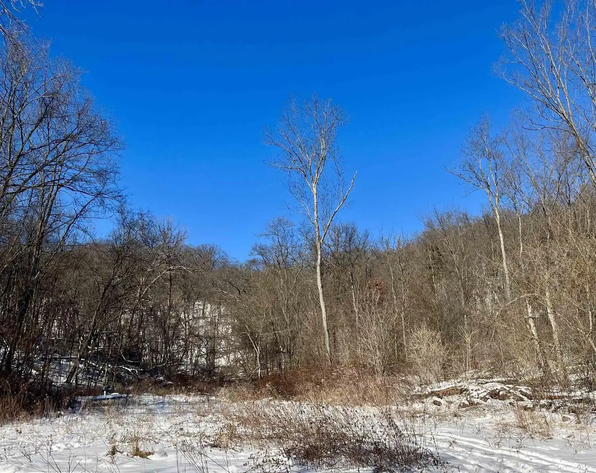 49480 Iris Drive, Gays Mills, WI 54631 - #1