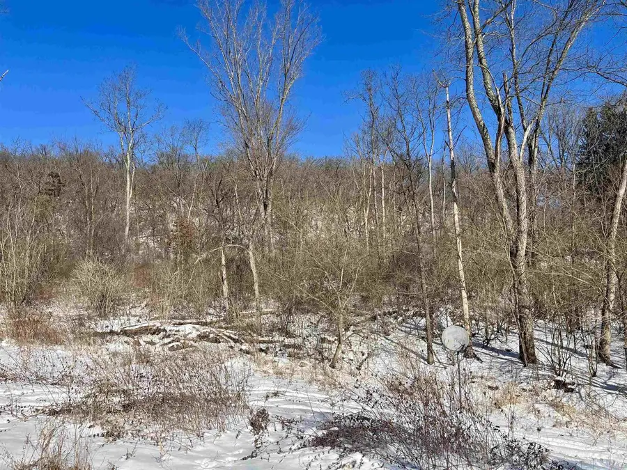 49480 Iris Drive, Gays Mills, WI 54631 - #3