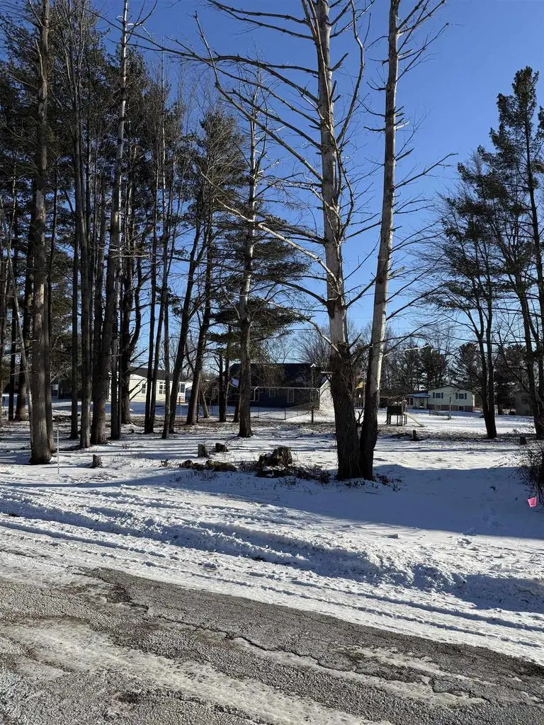 00 Schaller Street, Tomah, WI 54660 - Image #2