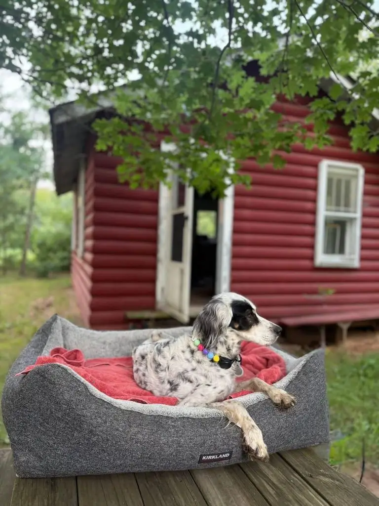 N2759 County Road A, Oxford, WI 53952 - #3