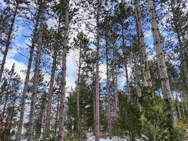 19.81 Acres 6th Avenue, Grand Marsh, WI 53936